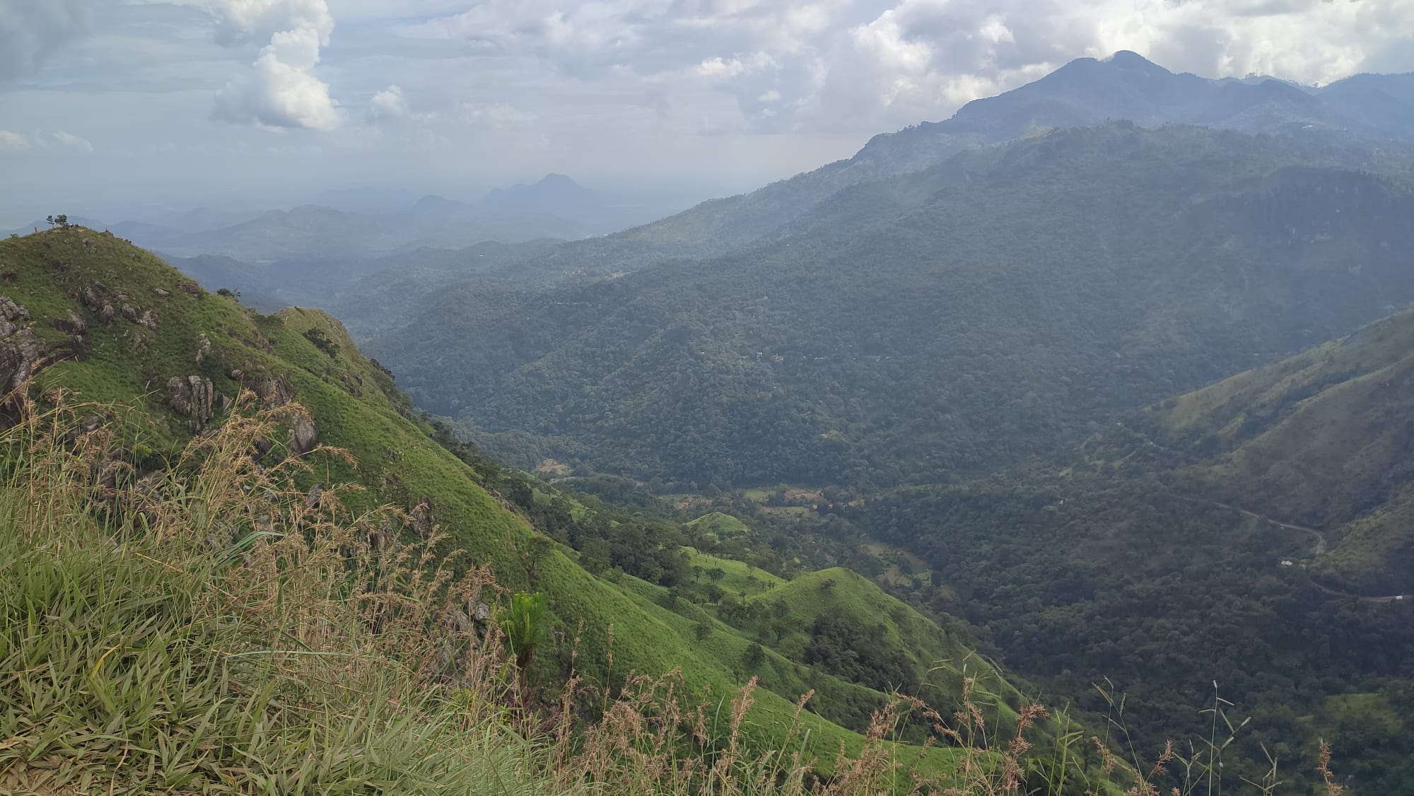 e8ca2e65-c7a9-4c2e-9e57-f2d29f9b49f5